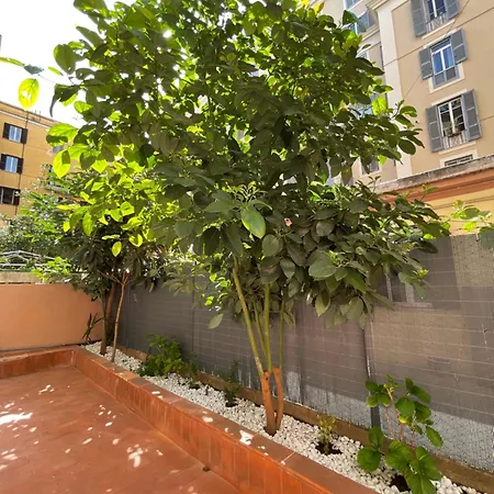 Avocado House - Cozy In The Heart Of *